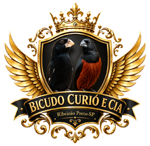 logo.png (153 KB)